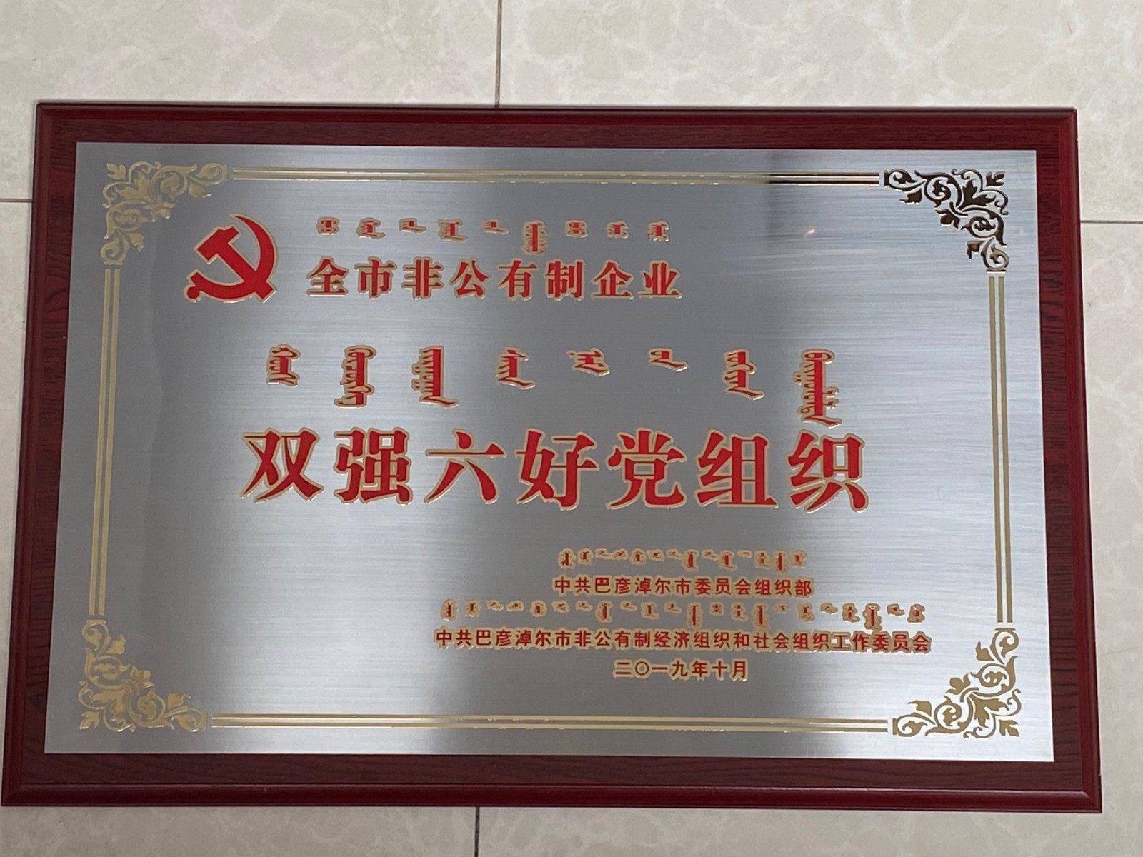 双强六好党组织