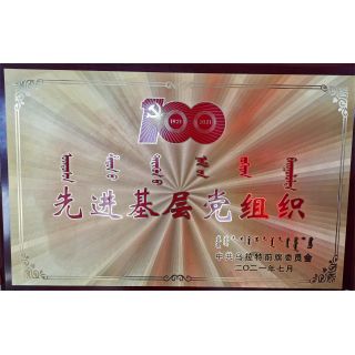 先进基层党组织