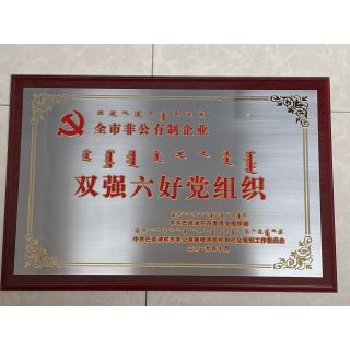 双强六好党组织