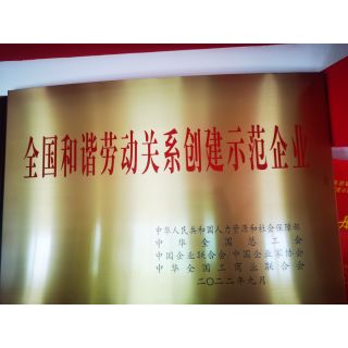 全国和谐劳动关系创建示范企业